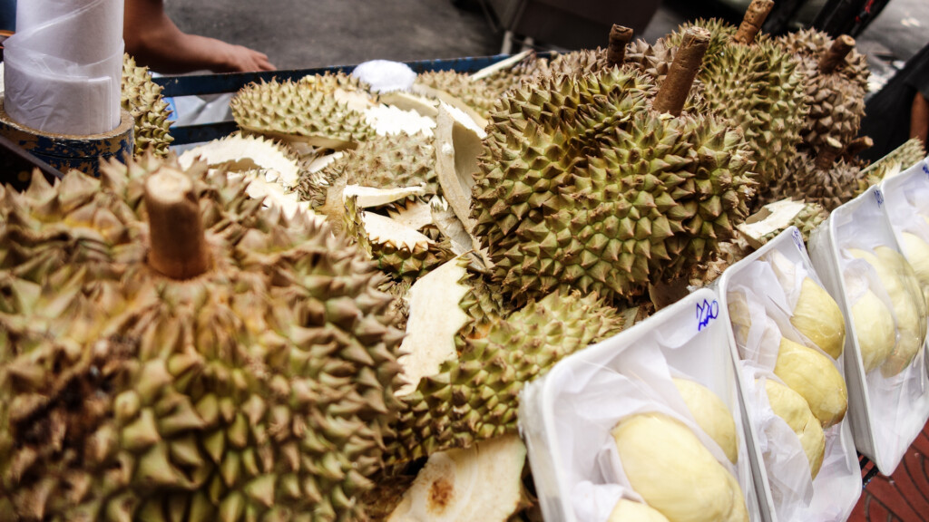 Die berühmt berüchtigte Durian